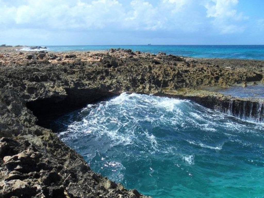 Aruba Cunucu Residence Palm Beach Bagian luar foto
