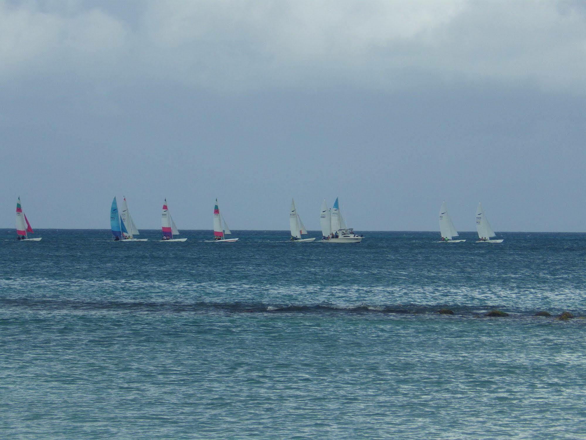 Aruba Cunucu Residence Palm Beach Bagian luar foto